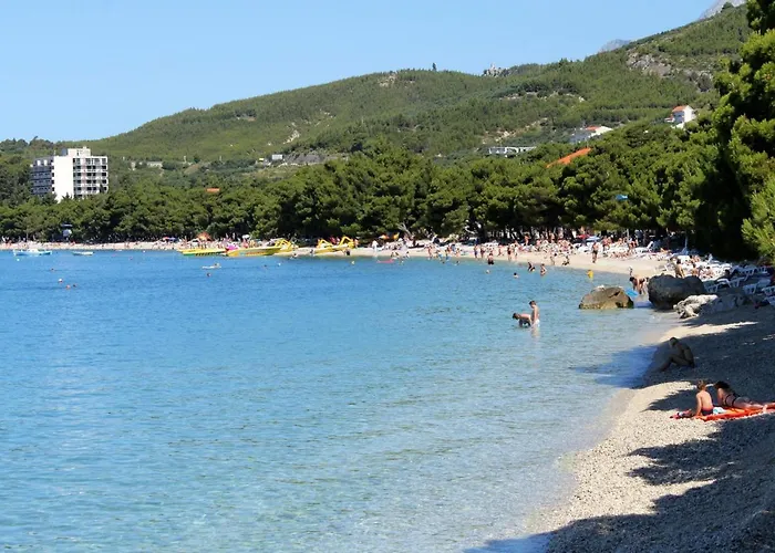 Family-friendly With Swimming Pool Gornji Tucepi, - 17686 *